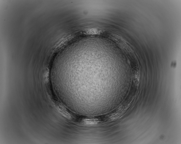 X0000101160556200807111031