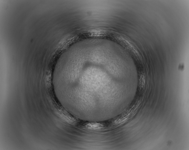 X0000101160557200807111031