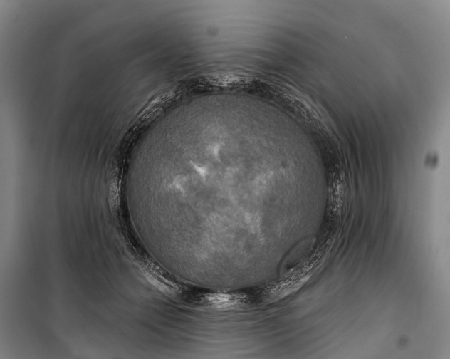 X0000101160558200807111031