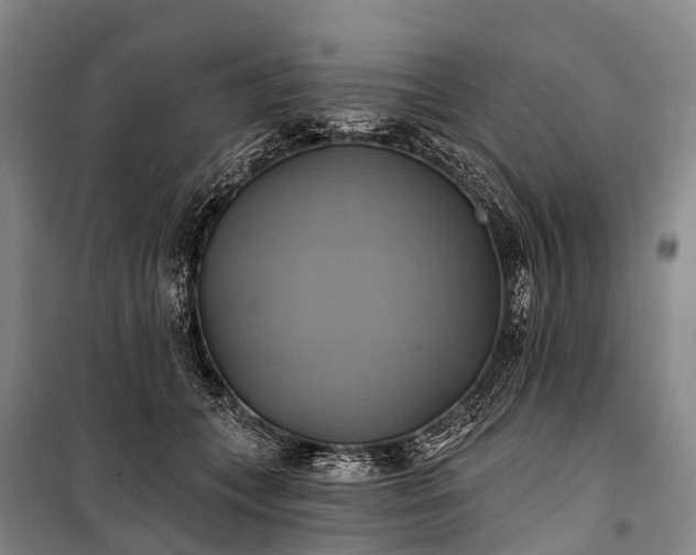 X0000101160559200807111031