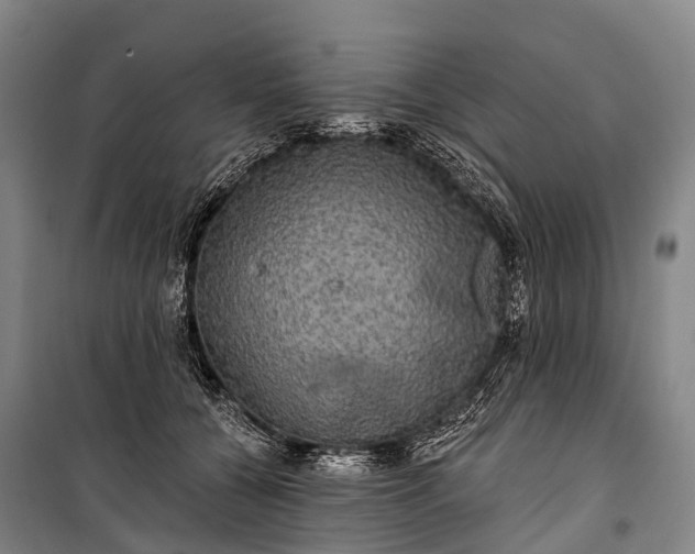 X0000101160560200807111031