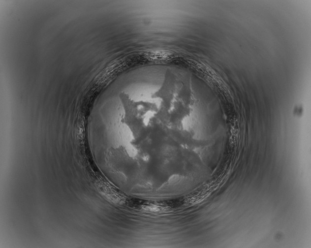 X0000101160561200807111031