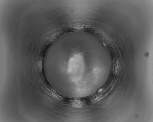 X0000101160562200807111031