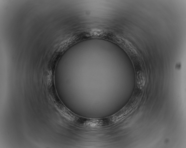 X0000101160563200807111031