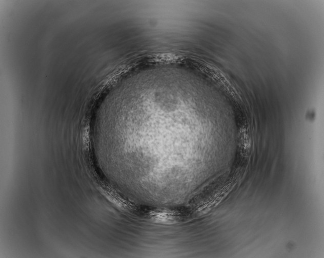 X0000101160564200807111031