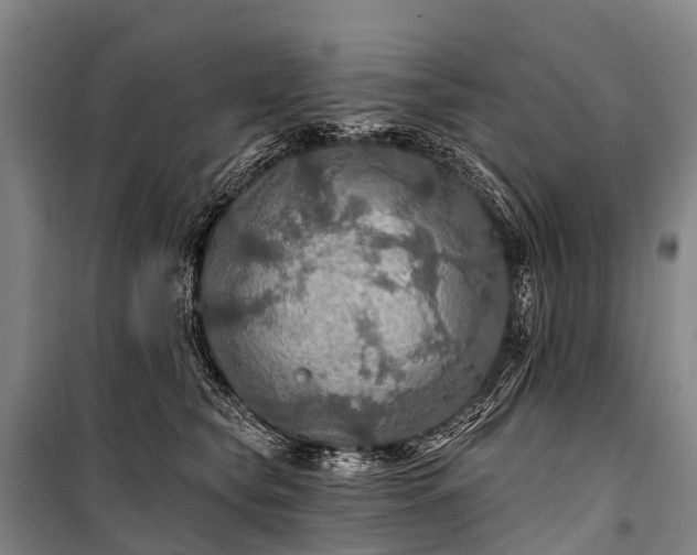 X0000101160565200807111031