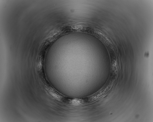 X0000101160566200807111031