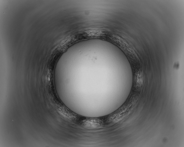 X0000101160567200807111031