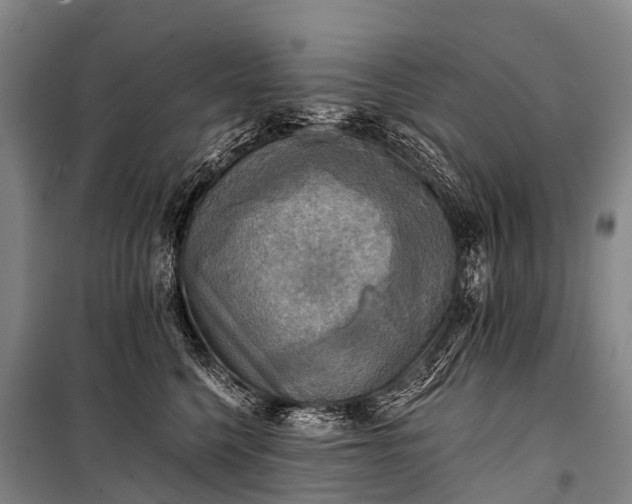 X0000101160568200807111031