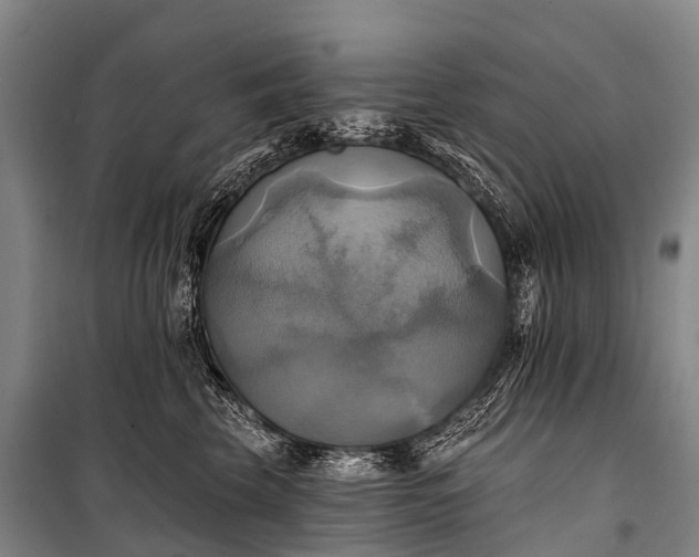 X0000101160569200807111031