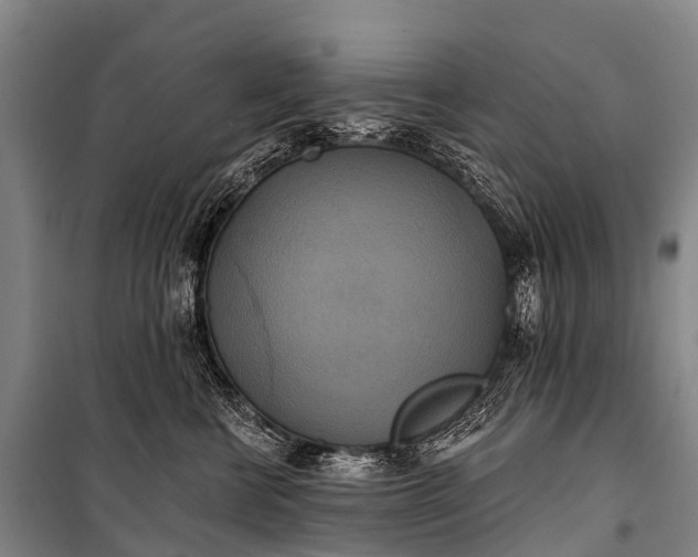 X0000101160570200807111031