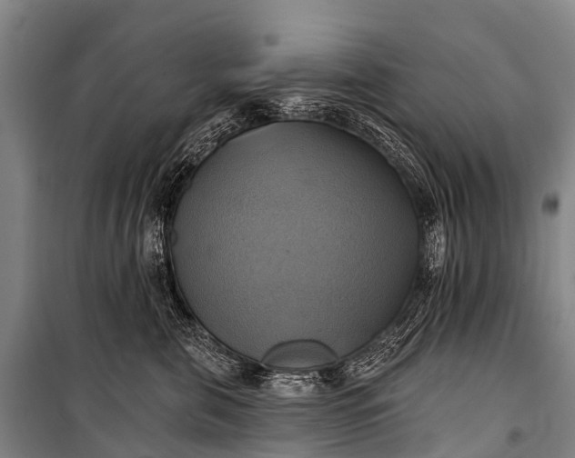 X0000101160571200807111031