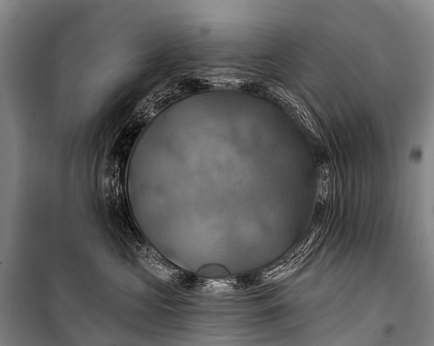 X0000101160573200807111031