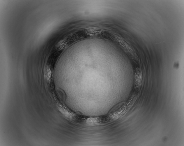 X0000101160574200807111031