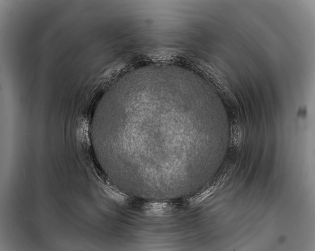 X0000101160575200807111031