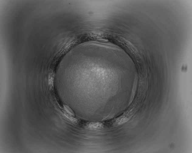 X0000101160576200807111031