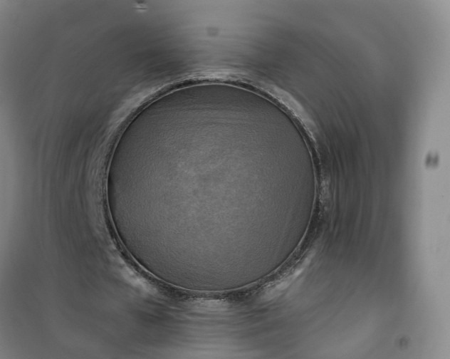 X0000101160577200807111031