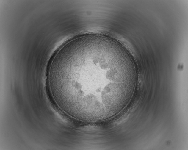 X0000101160578200807111031