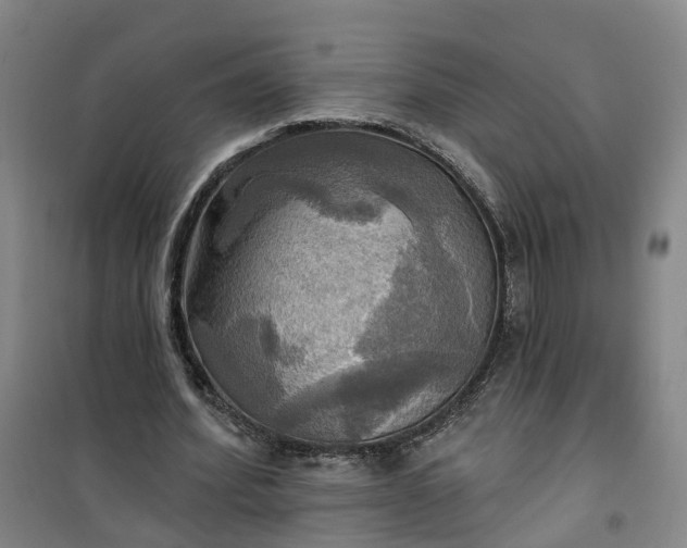 X0000101160580200807111030