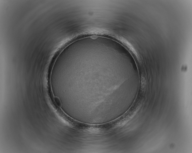 X0000101160581200807111030