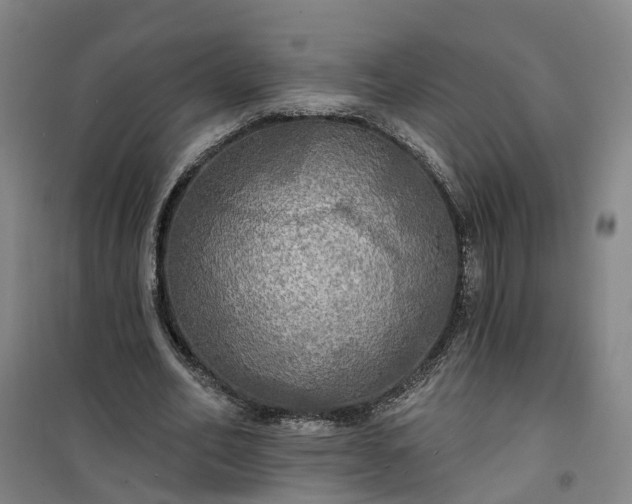 X0000101160582200807111030