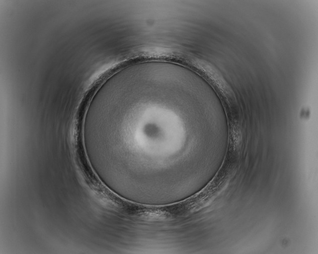 X0000101160583200807111030