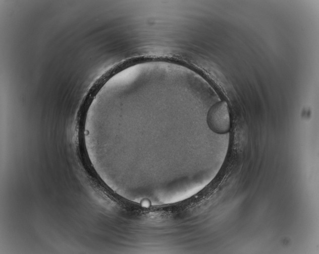 X0000101160584200807111030