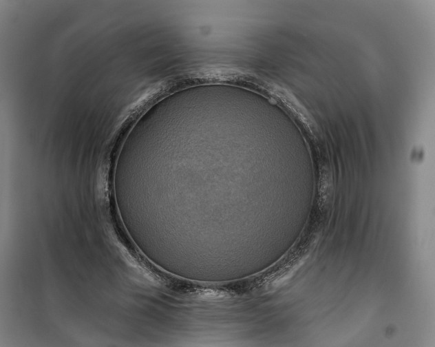 X0000101160585200807111030