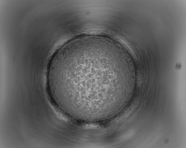 X0000101160586200807111030