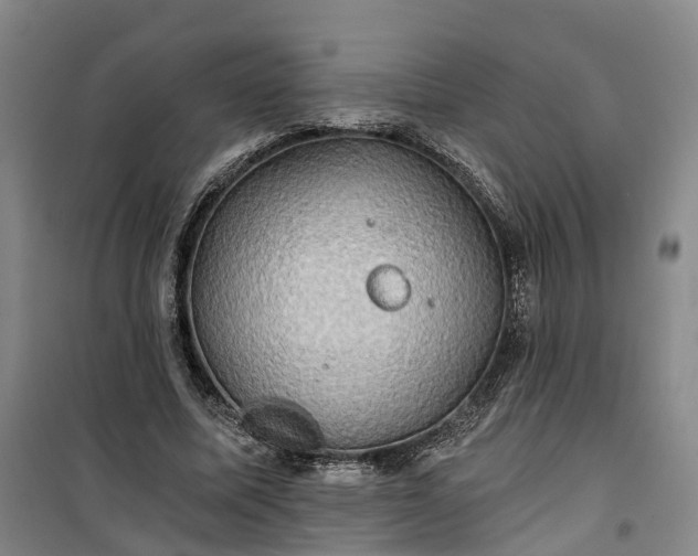 X0000101160587200807111030