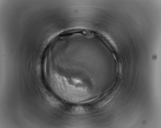 X0000101160588200807111030