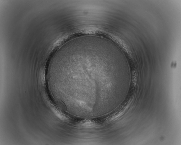 X0000101160589200807111030