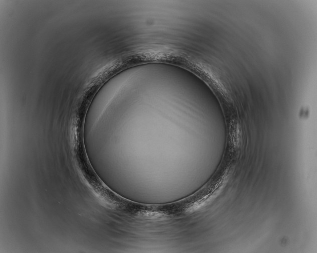 X0000101160590200807111030