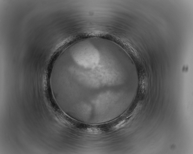 X0000101160591200807111030