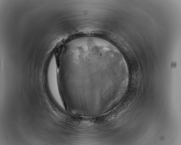 X0000101160592200807111030