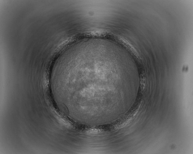 X0000101160593200807111030