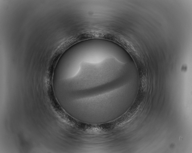 X0000101160594200807111030