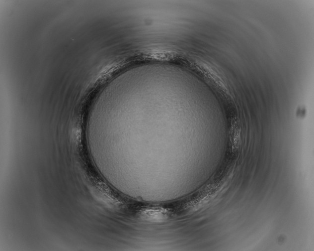 X0000101160595200807111030