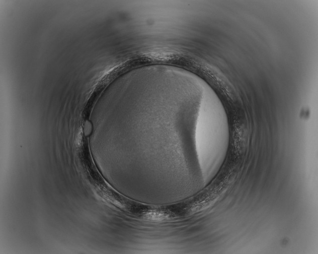 X0000101160596200807111030