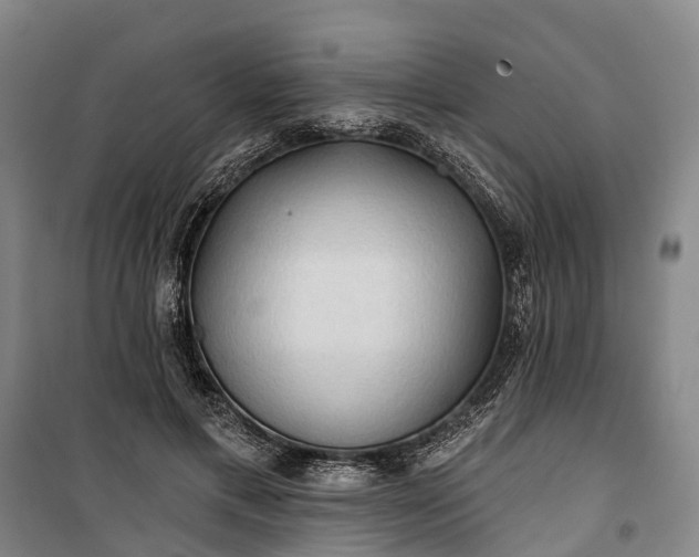 X0000101160597200807111030