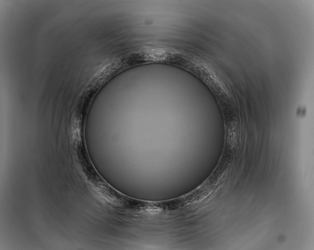 X0000101160598200807111030