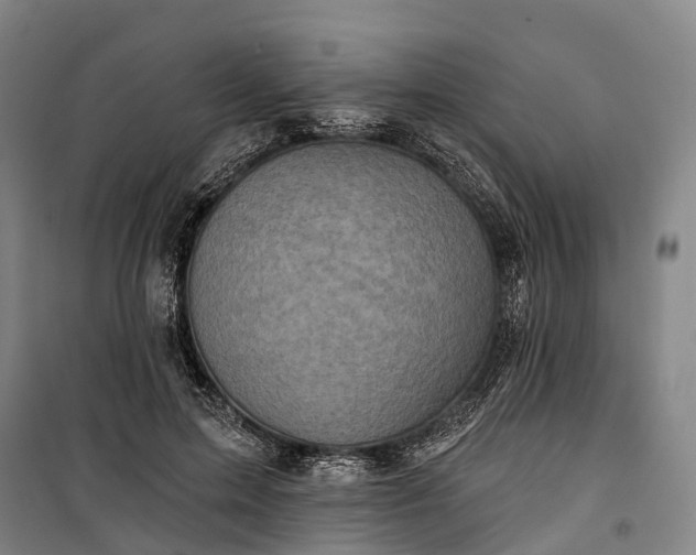 X0000101160599200807111030