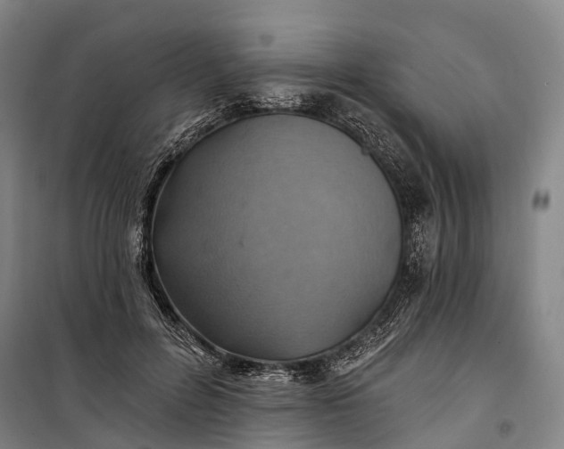 X0000101160600200807111030