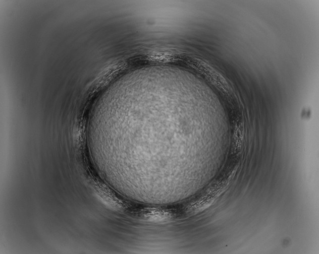 X0000101160601200807111030