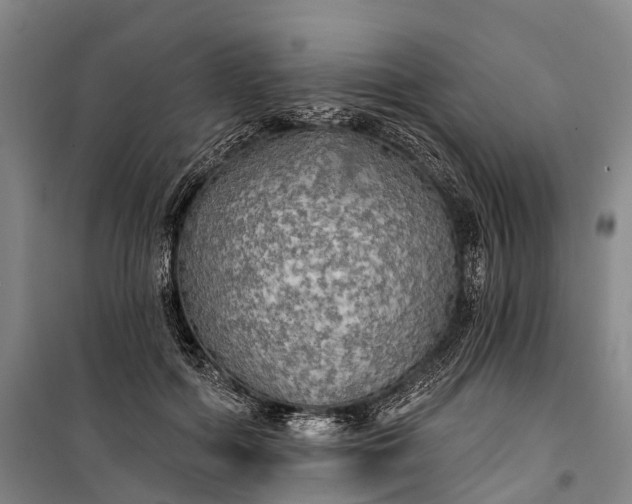 X0000101160602200807111030