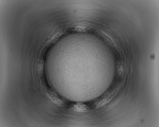 X0000101160603200807111030