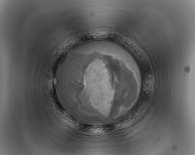 X0000101160604200807111030