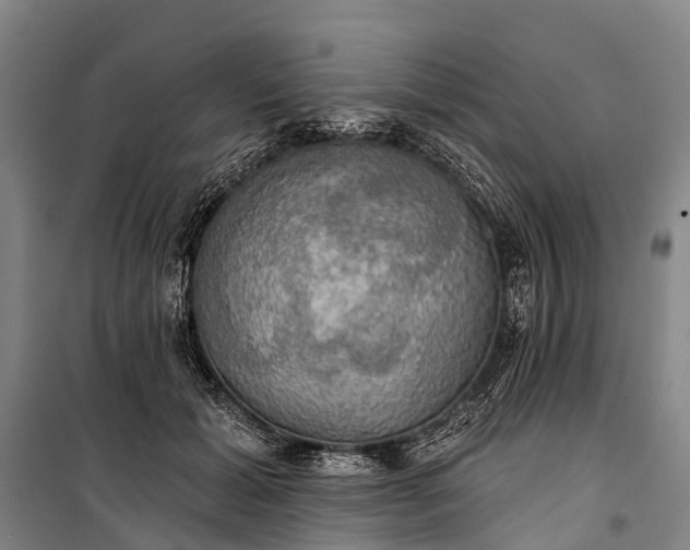 X0000101160605200807111030