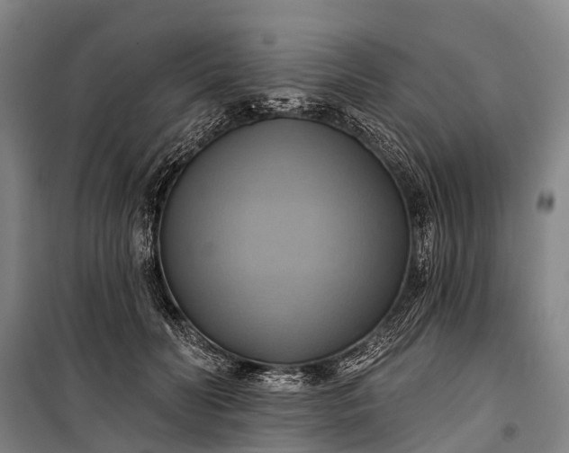 X0000101160606200807111030