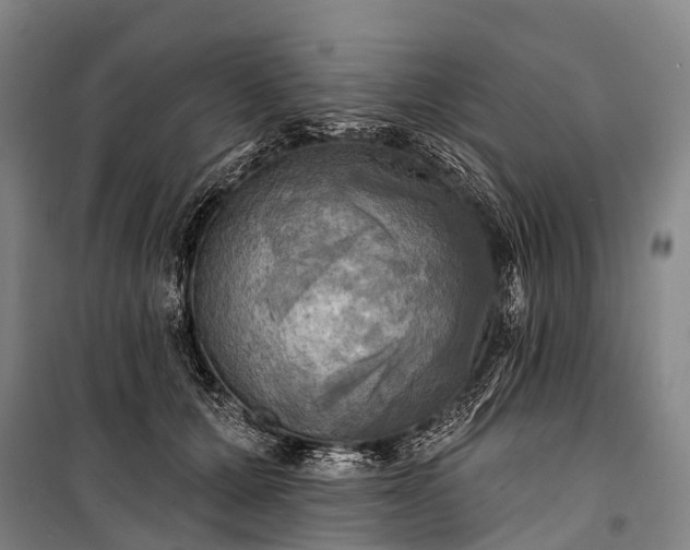 X0000101160607200807111030